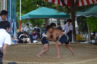 DSC_0391