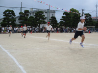 IMG_4516