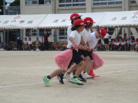 IMG_4550