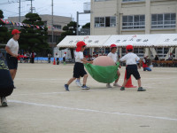 IMG_4723
